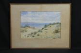 SOUTHWOOD F 1900-1900,Dunes with sea beyond,Peter Francis GB 2014-01-28