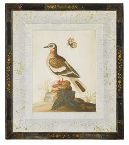SPACKMAN Isaac 1700-1771,Two George II embossed bird pictures,1750,Sotheby's GB 2013-12-04