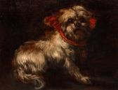 SPANISH SCHOOL (XVIII),Portrait of a Dog,William Doyle US 2020-11-19