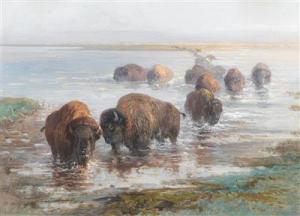 SPECHT August 1849-1923,A herd of Bison crossing a river,Palais Dorotheum AT 2018-03-28