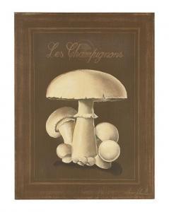 SPLENDORE Vittorio,Les Champignons,New Orleans Auction US 2017-01-28