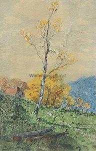 SPLITGERBER Fritz 1876-1914,Hügelige Landschaft mit Birke,1876,Winterberg Arno DE 2017-05-13