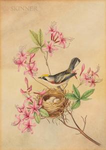 SPRAGUE Isaac 1811-1895,Bird and Nest,Skinner US 2022-08-17