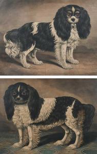SQUIRE John 1800-1900,Portrait of Prince; Portrait of Punch,Woolley & Wallis GB 2024-03-06