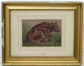 staines p h 1800-1800,A singular cattle portrait,Dickins GB 2020-02-03