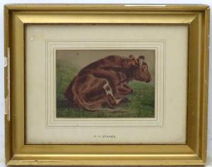 staines p h 1800-1800,A singular cattle portrait,19th century,Dickins GB 2020-03-06