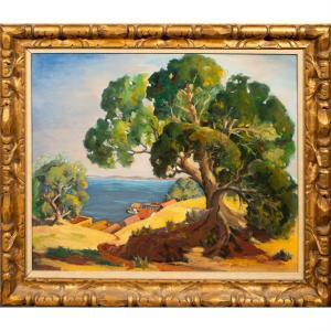 STANHOPE Elmer H 1907-1956,Oak Tree Along the Coast,Clars Auction Gallery US 2023-04-15