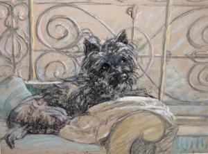 STANLEY CAREY J 1950,A Black West Highland Terrier,Mealy's IE 2016-03-22