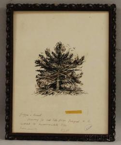 STANLEY PARKER Francis 1917-2005,Pine Tree,Skinner US 2012-04-11