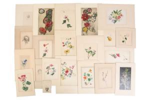 STANNARD Emily, née Coppin 1803-1885,floral studies (17 works),Dawson's Auctioneers GB 2023-07-27