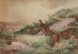 STANNARD Henry John Sylvester 1870-1951,Gamebirds in a moorland landscape,Rosebery's GB 2024-02-27