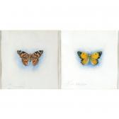STANNARD Lilian 1884-1944,THE CLOUDED YELLOW; THE PAINTED LADY,Sotheby's GB 2007-03-07