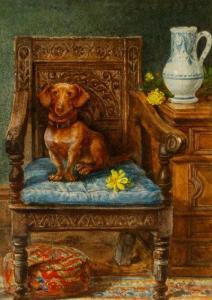 STANTON ROSE EMILY 1880-1895,Dachshund on a chair,David Lay GB 2014-01-16