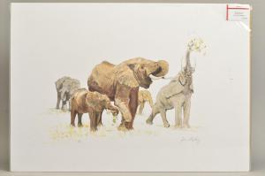 STAPLEY JOHN,Elephant,Richard Winterton GB 2020-02-20