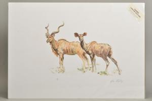 STAPLEY JOHN,Kudu,Richard Winterton GB 2020-02-20