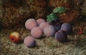 STARKEY William Henry 1873-1909,Still life of plums on a mossy bank,Bonhams GB 2005-02-08