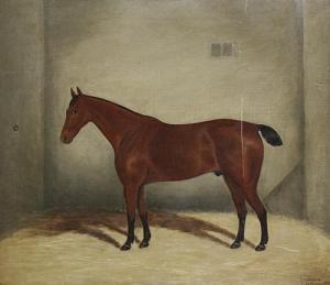 STEARN S.G 1812-1896,A bay horse in a stable,Bonhams GB 2011-09-21