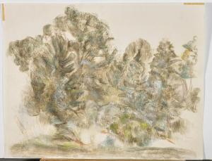 STEEL CAPARN RHYS 1909-1997,various sketches of animals and gardens,Chait US 2018-09-16