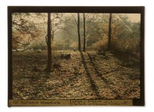 STEELE Louis J 1908,An Autumn Morning,Millon & Associés FR 2014-03-11