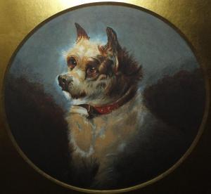 STEELE Mary E 1880,A portrait study of a terrier dog,Cuttlestones GB 2018-06-07
