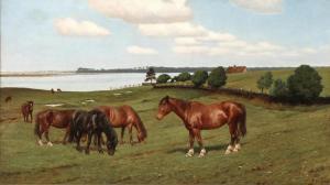 STEFFENSEN Povl 1866-1923,Grazing horses in a field near Mossø,1904,Bruun Rasmussen DK 2024-03-25
