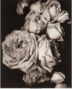STEICHEN Edward 1879-1973,Heavy Roses, Voulangis, France,Heritage US 2017-07-19