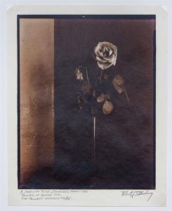 STEINBERG Robert J 1948,FLOWERS: THREE PLATES AND A PORTFOLIO,1980,Stair Galleries US 2018-06-22