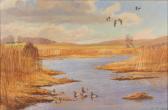 STEINFATH C 1900-1900,Marsh scene with Mallard ducks,Ripley Auctions US 2009-04-26