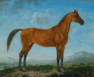 STEINKOPF Johann Friedrich 1737-1825,Bildnis eines braunen Araberpferdes,Nagel DE 2017-06-29