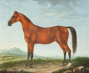 STEINKOPF Johann Friedrich 1737-1825,Portrait of an Arabian horse,1785,Kaupp DE 2014-12-06