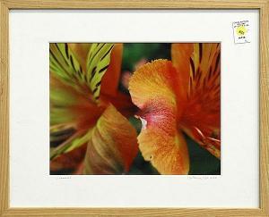 STELS Catherine 2000-2000,Alstroemeria,2006,Clars Auction Gallery US 2014-05-17