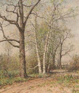 STENGELIN Alphonse 1852-1938,Study of trees,Duke & Son GB 2022-05-26