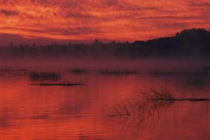 STENZEL MARIA,Adirondack Mountains,1996,Christie's GB 2013-07-19