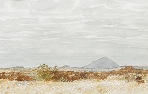 Stephan Friedrich JENTSCH Adolph 1888-1977,The Namib desert,1955,Bonhams GB 2008-09-09