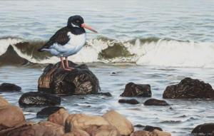 STEPHENS Christopher 1974,Oyster Catcher,2000,Christie's GB 2000-05-17