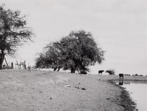 STERN Grete 1904-1999,Fotografía,Duran Subastas ES 2023-12-27