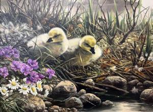 STERNBERG DE BEER Willem 1941,a pair of gosling ducklings on a riverbank,Keys GB 2023-04-12