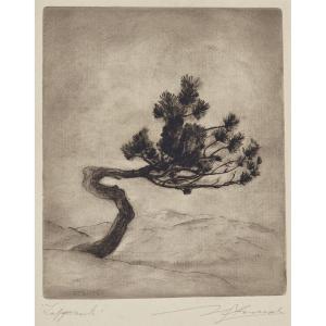 STERNER Malte 1903-1952,GNARLED TREE,Waddington's CA 2017-03-04