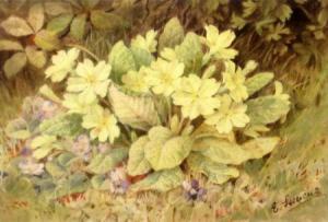 STEVENS Euryl 1900,Study from Nature of Primroses,Keys GB 2011-04-08