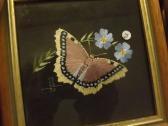 STEVENS Helen,butterflies,Keys GB 2016-08-06