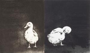 STEVENS Mark 1946,Peking Duck II & III,1982,Maynards CA 2024-02-07