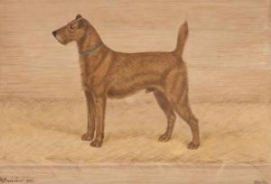 STEVENSON A 1800-1800,Celebrated Irish Terrier Waterfoot Shamrock (The P,William Doyle US 2019-02-13
