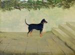 STEVENSON A,Study of a German Pinscher, stood on stone slabs b,1897,Golding Young & Co. 2022-09-08