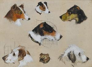 STEVENSON Tom 1800-1900,Terrier studies,1811,Bonhams GB 2008-02-12