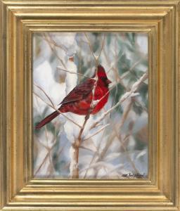 STEWARD Aleta,Cardinal in Snow,2017,Eldred's US 2018-08-09