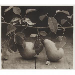 STEWART John 1919-2017,PEARS IN LEAF, TOURS,1975-1996,Lyon & Turnbull GB 2023-01-11