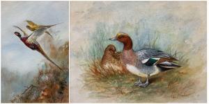 STINTON James 1870-1961,Male and Female Duck,1929,Duggleby Stephenson (of York) UK 2022-12-08