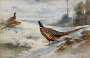 STINTON James 1870-1961,Pheasants in a Winter Landscape,Duggleby Stephenson (of York) UK 2022-12-08