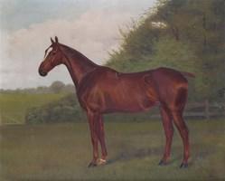 STIRLING BROWN A.E.D.G 1800-1900,Horses in their paddocks,1913,Woolley & Wallis GB 2016-09-07