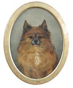 STIRLING BROWN G,Tito, a Pomeranian, belonging to Adeline, Duchess of Bedford,Cheffins GB 2015-11-25
